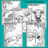 Wetland Animals Research Posters, Coloring Pages - Animal Research Project