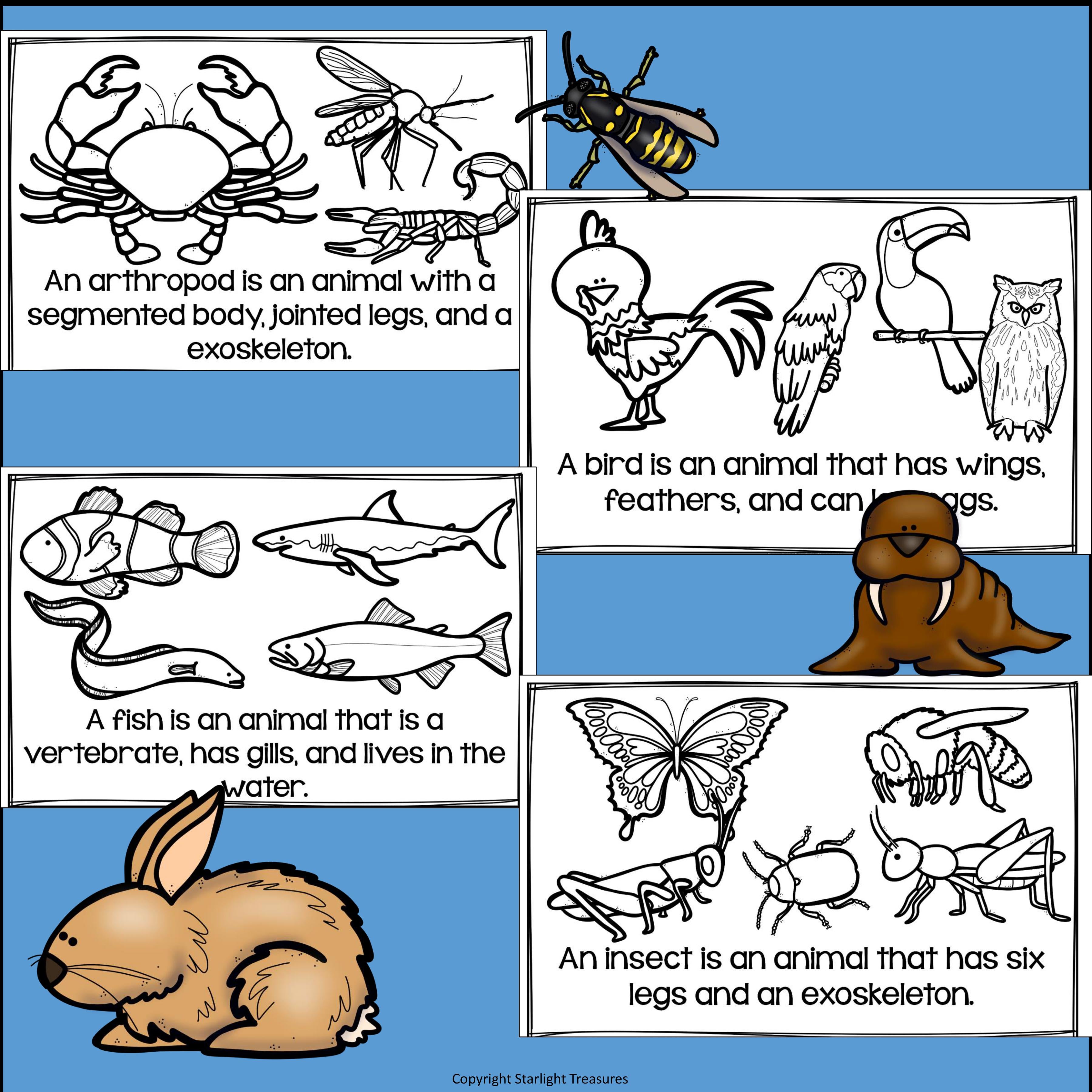 Animal Groups Mini Book for Early Readers