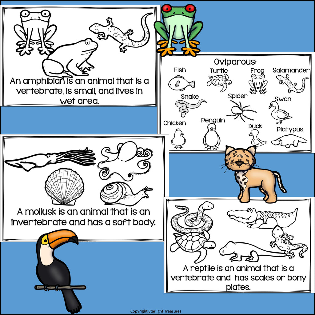 Animal Groups Mini Book for Early Readers