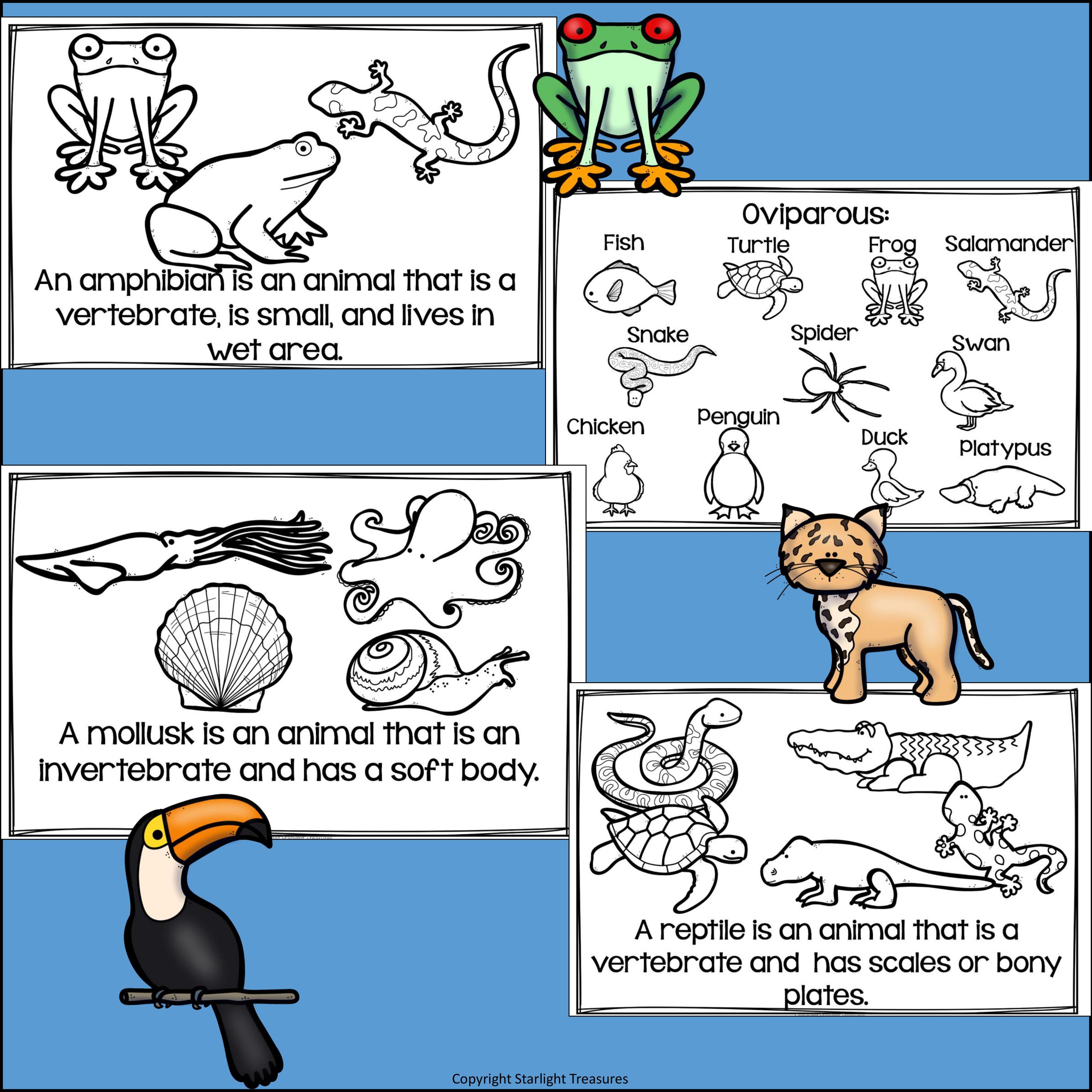 Animal Groups Mini Book for Early Readers
