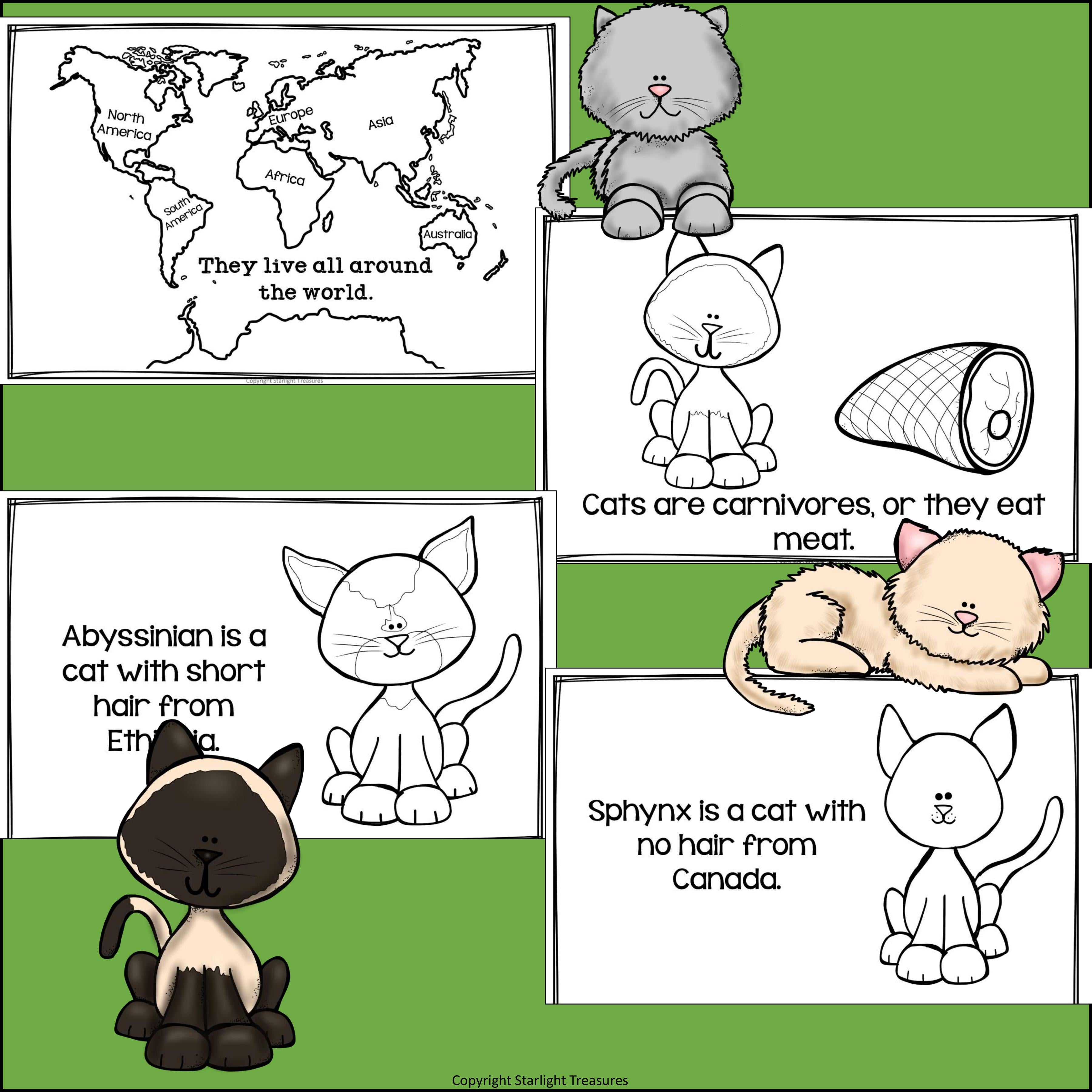 Cats Mini Book for Early Readers