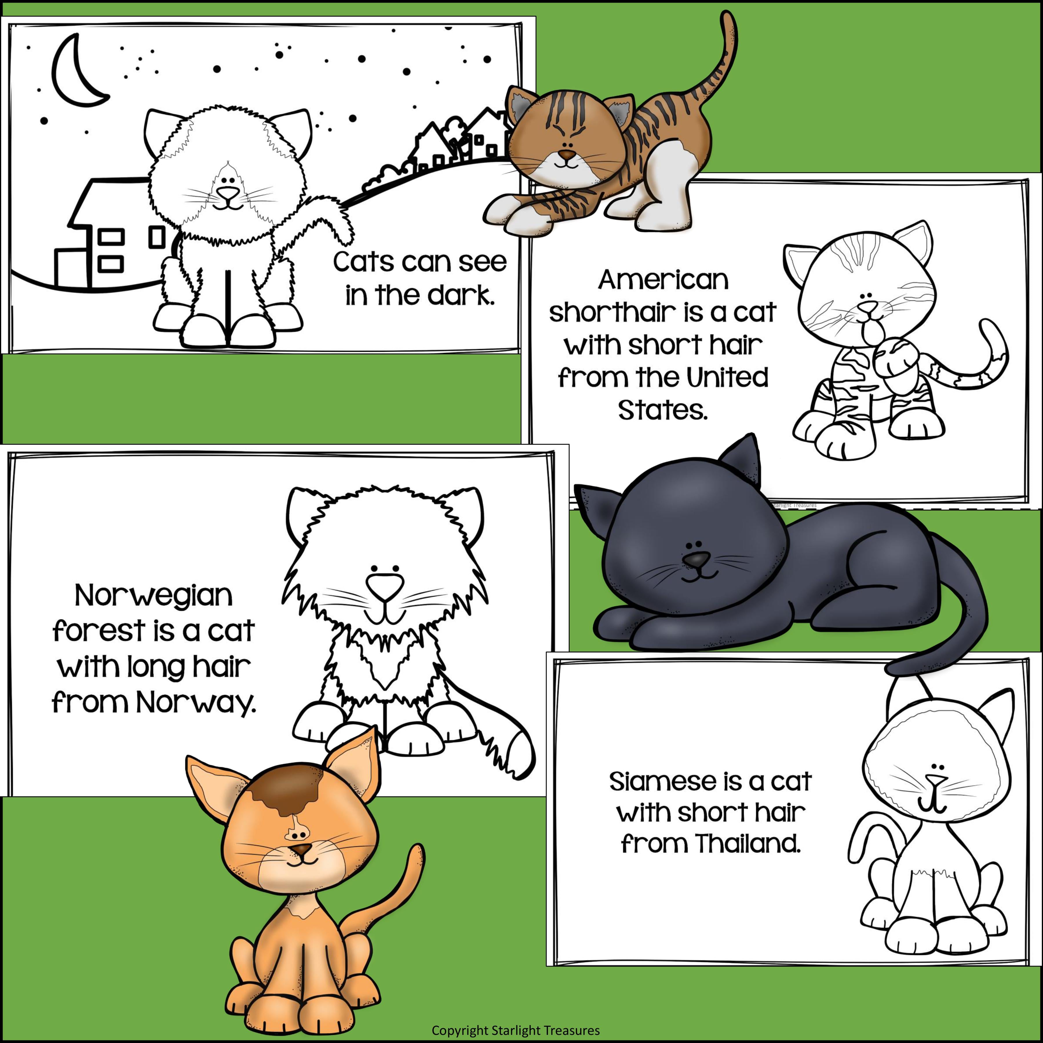 Cats Mini Book for Early Readers