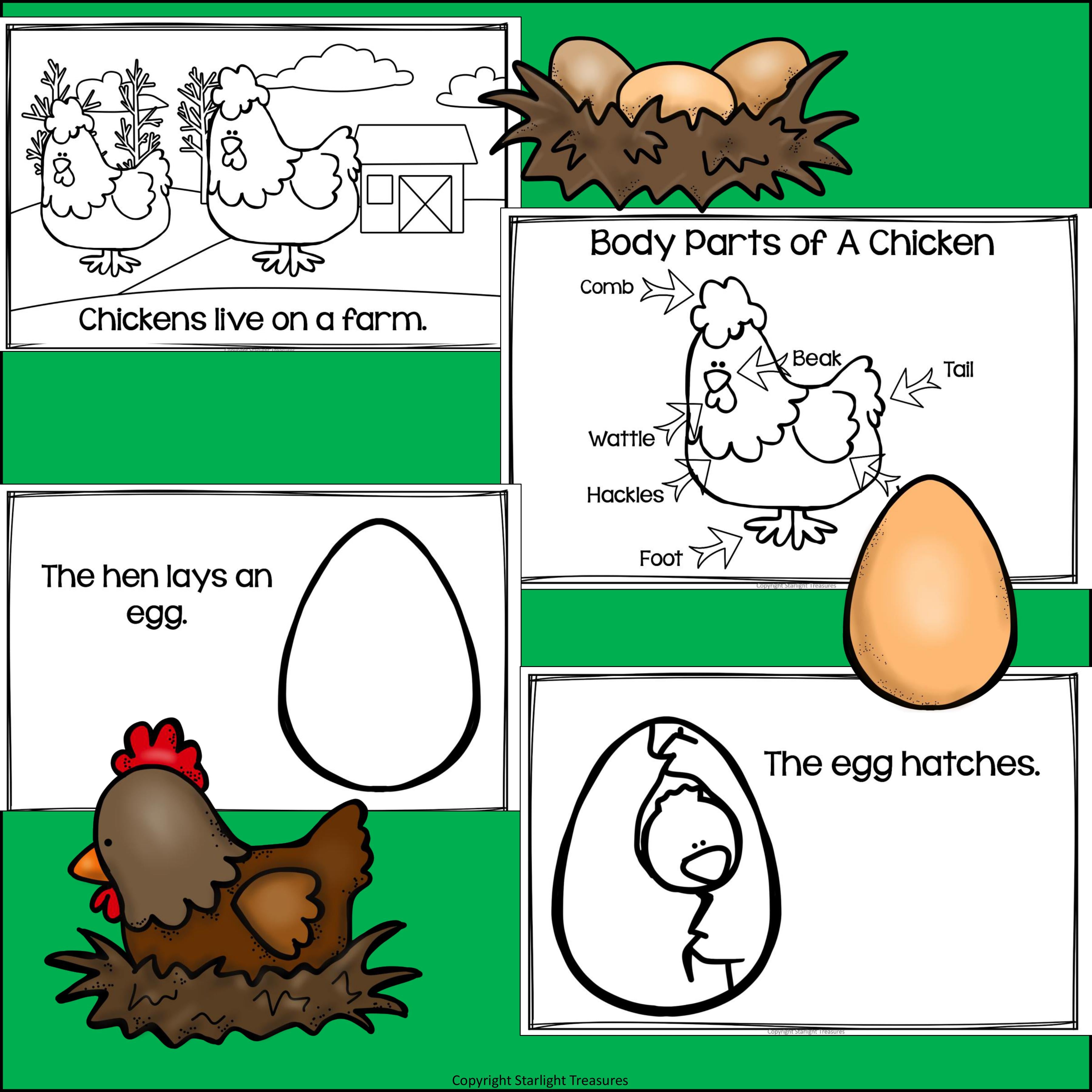 Chickens Mini Book for Early Readers