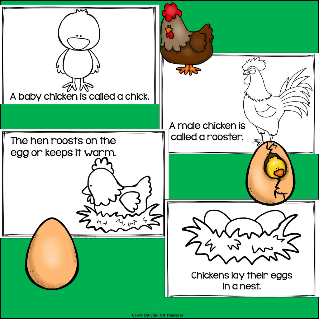 Chickens Mini Book for Early Readers