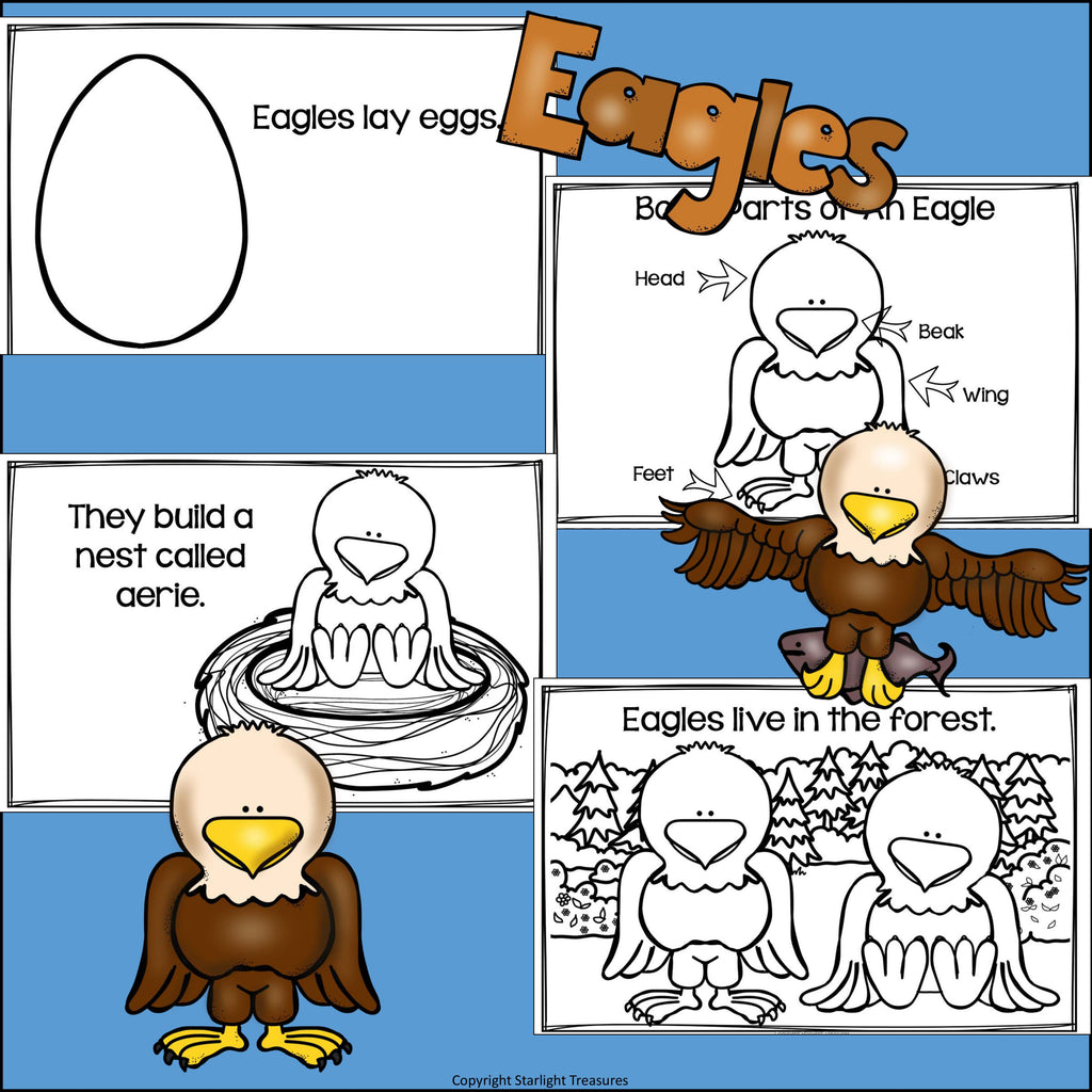 Eagles Mini Book for Early Readers: Bald Eagles