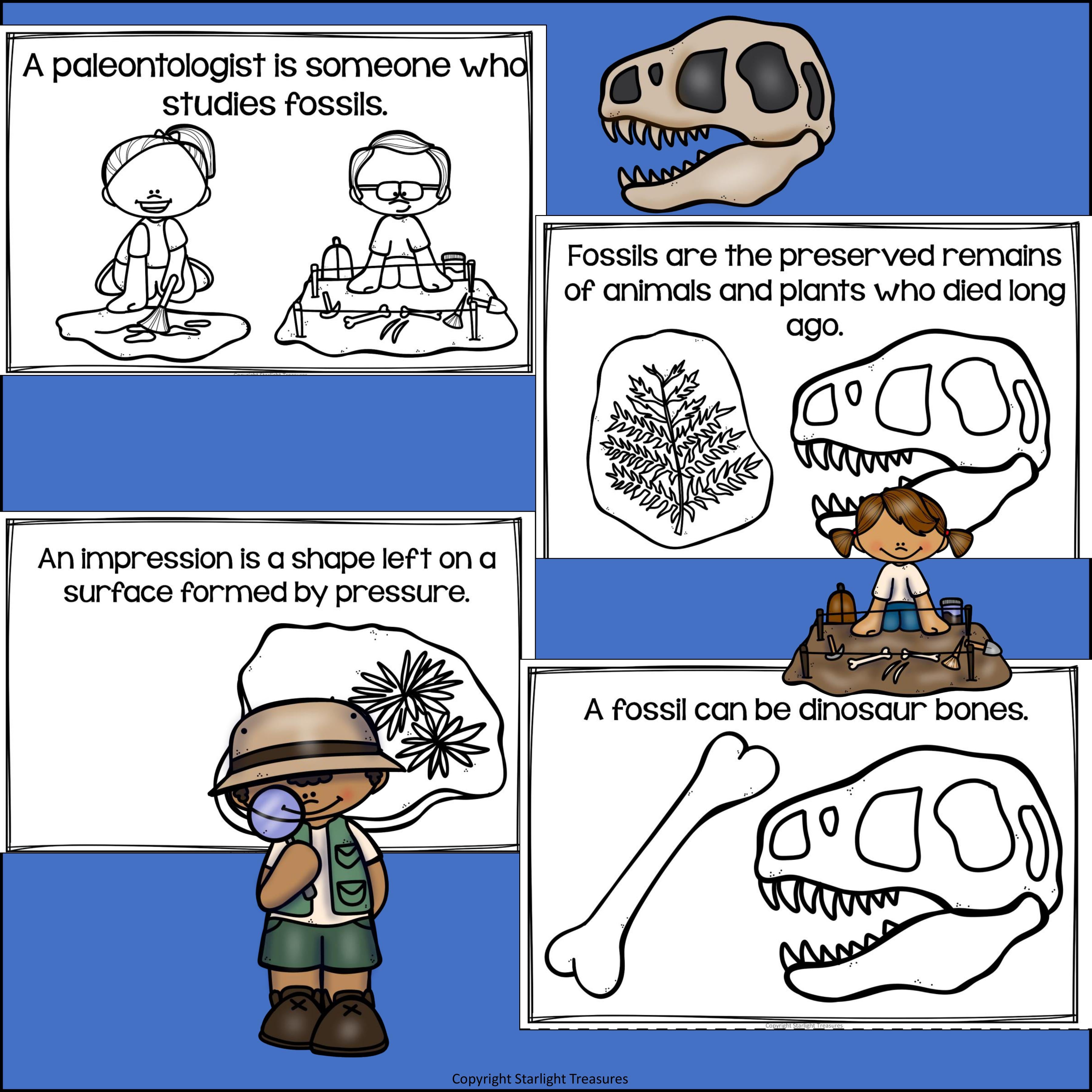 Fossils Mini Book for Early Readers