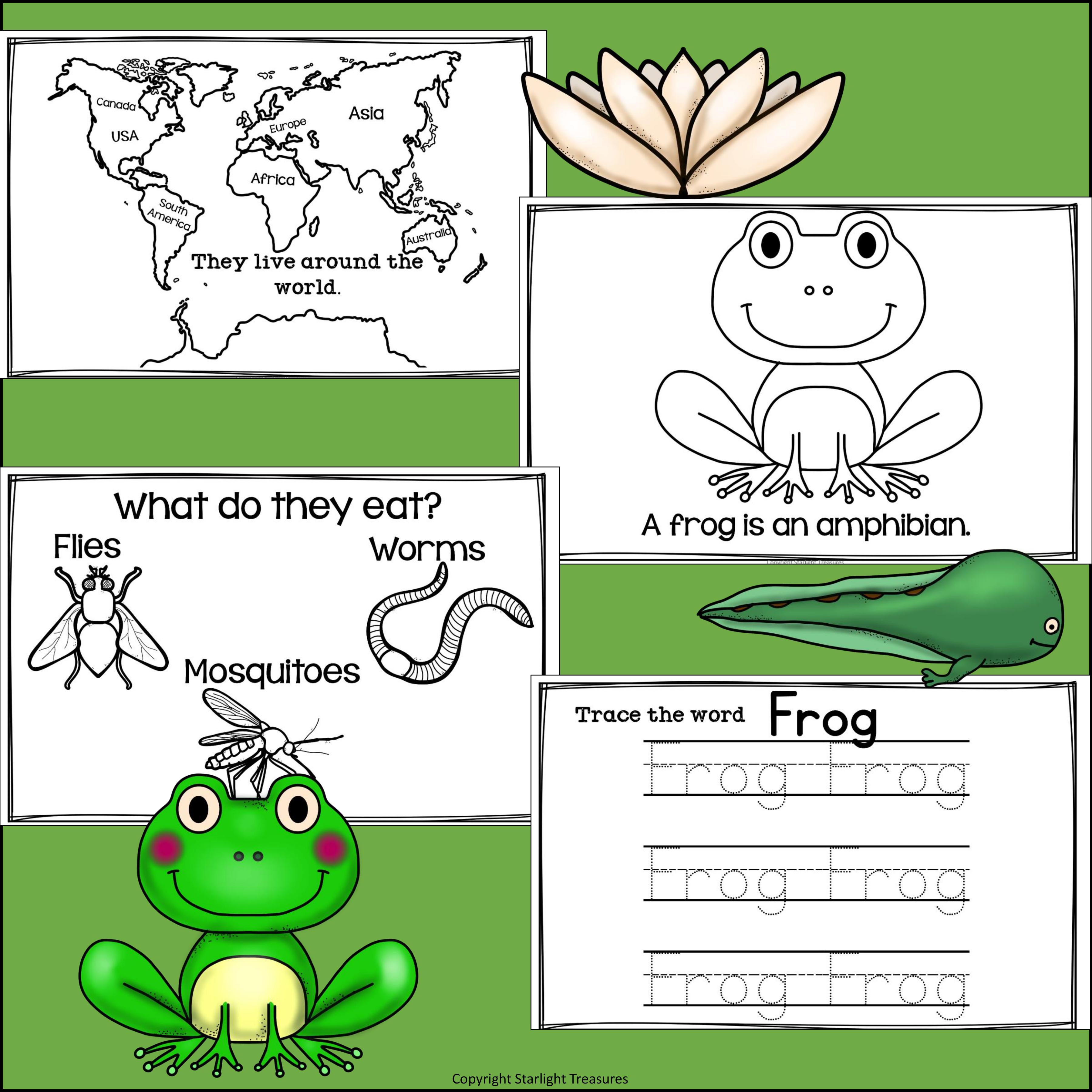 Frogs Mini Book for Early Readers
