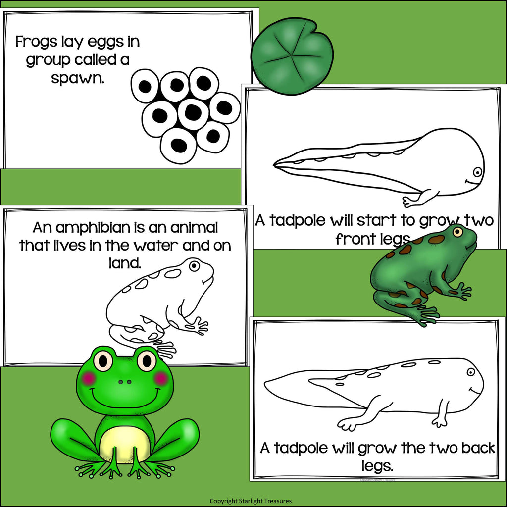 Frogs Mini Book for Early Readers