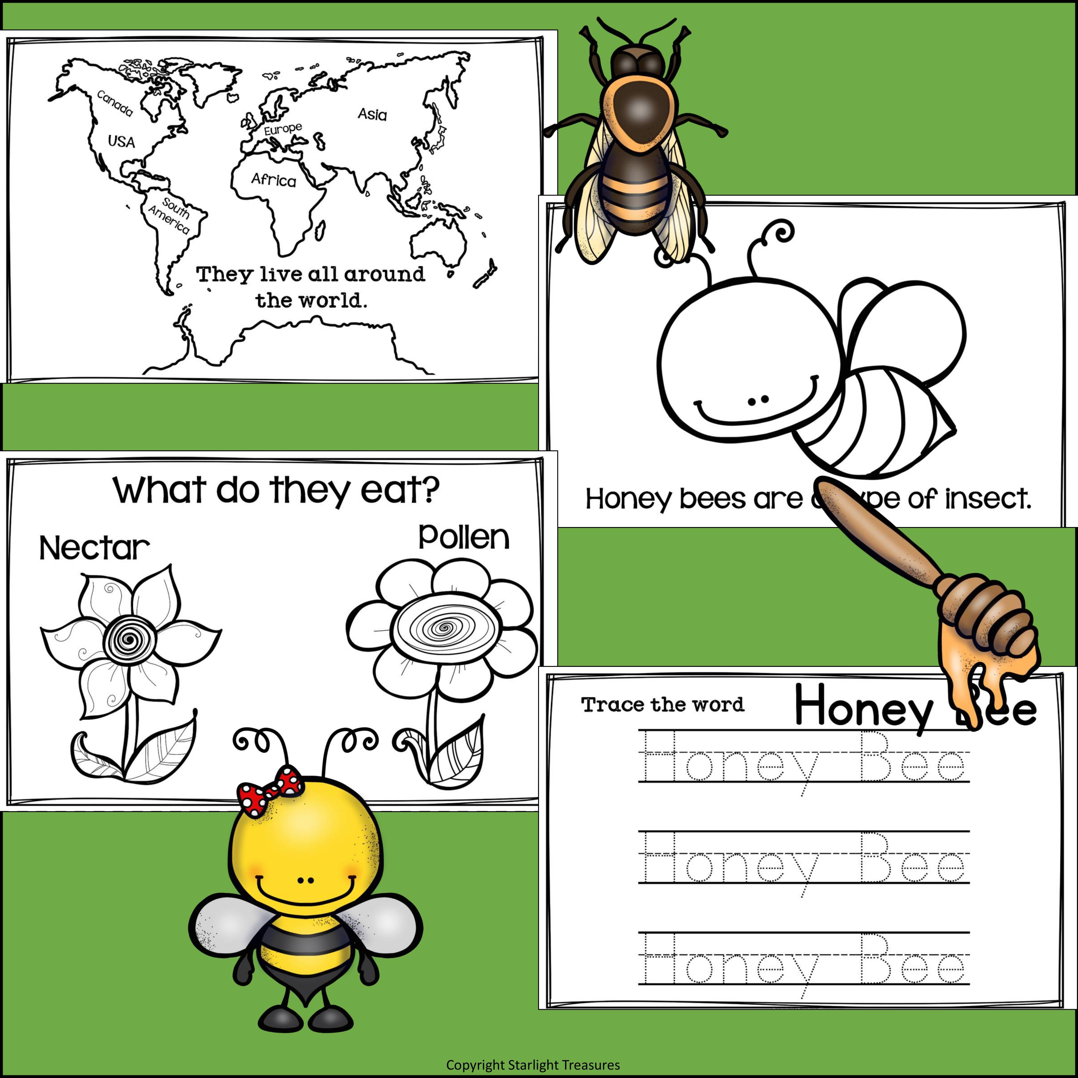 Honey Bees Mini Book for Early Readers