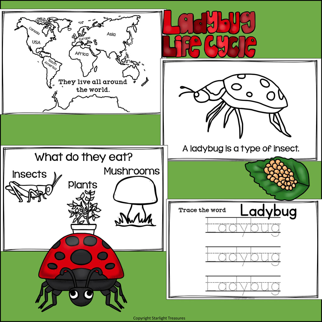 Ladybugs Mini Book for Early Readers