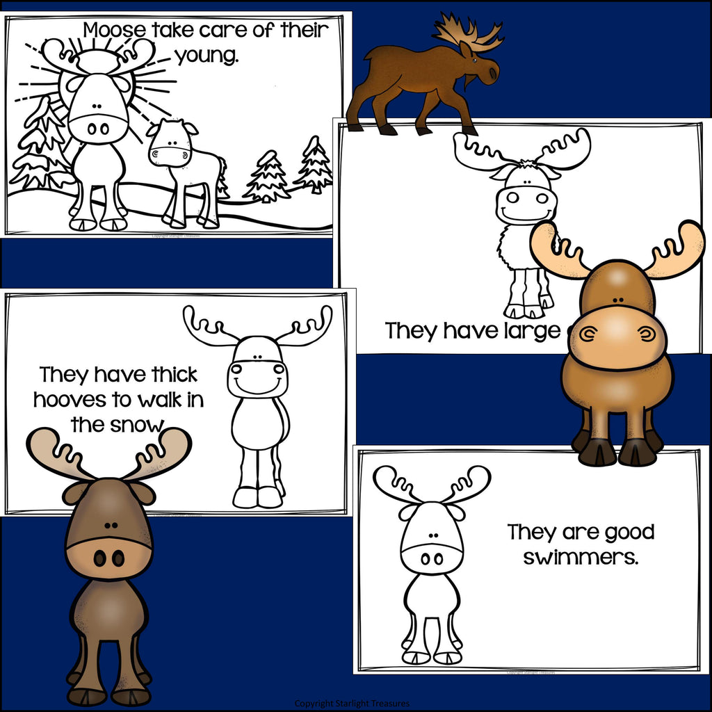 Moose Mini Book for Early Readers