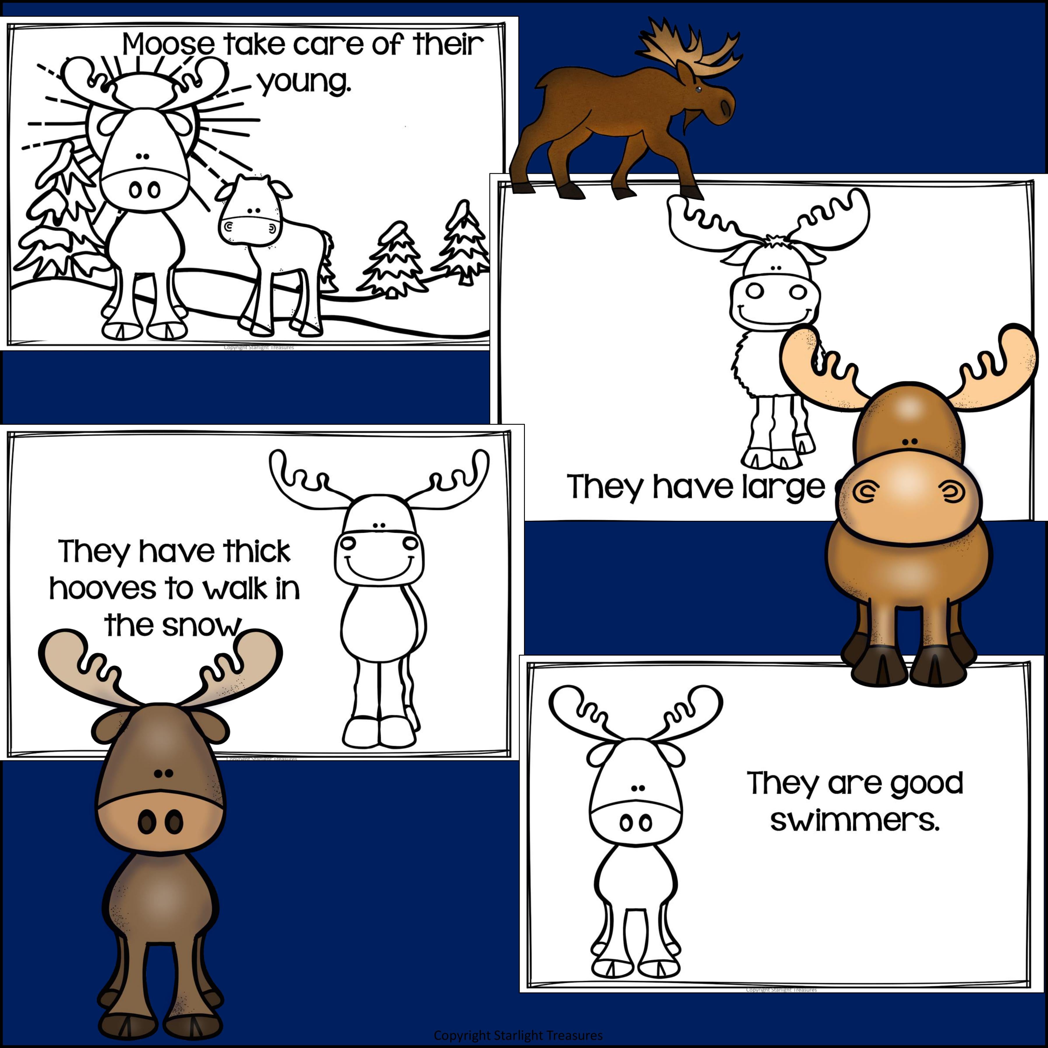 Moose Mini Book for Early Readers