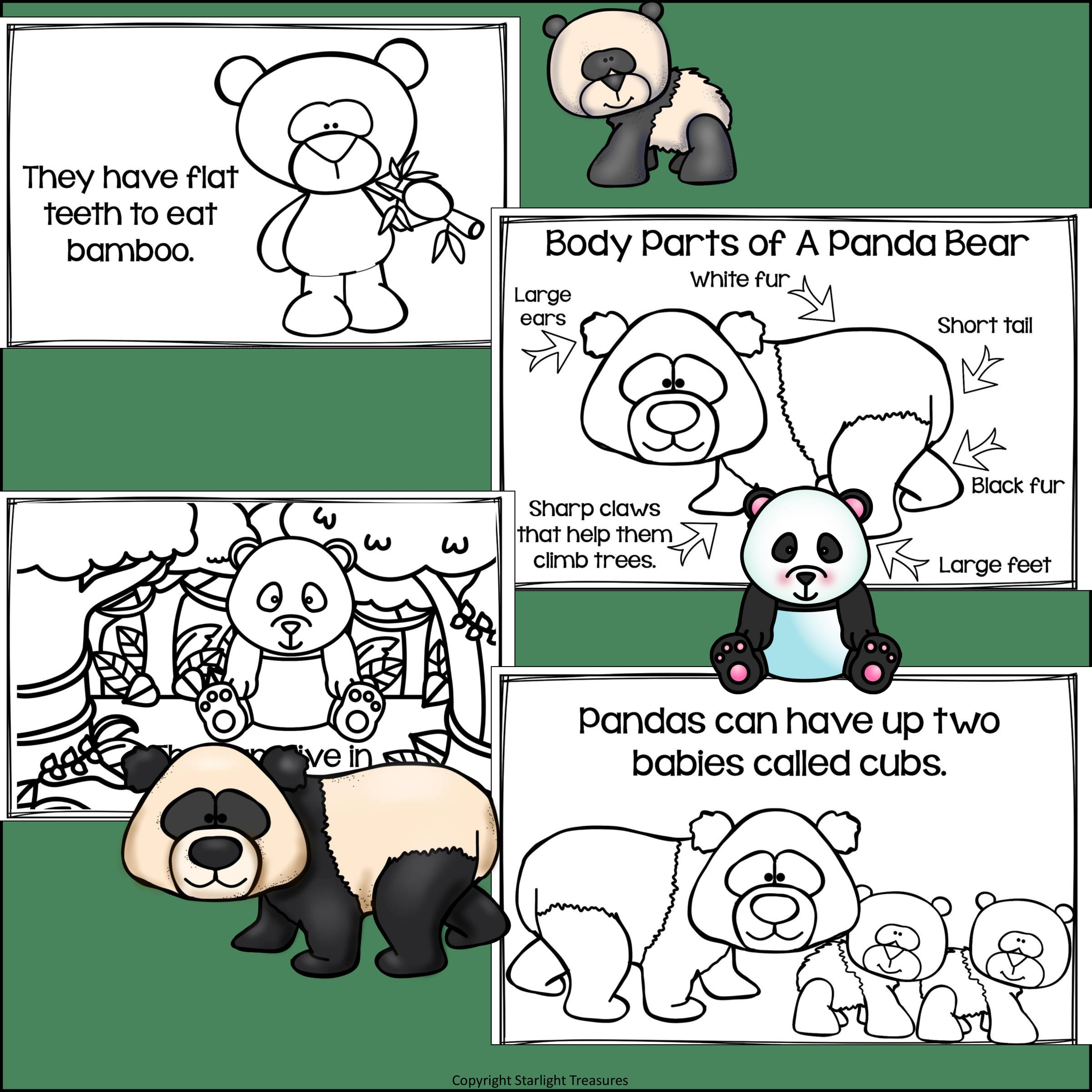 Panda Bears Mini Book for Early Readers
