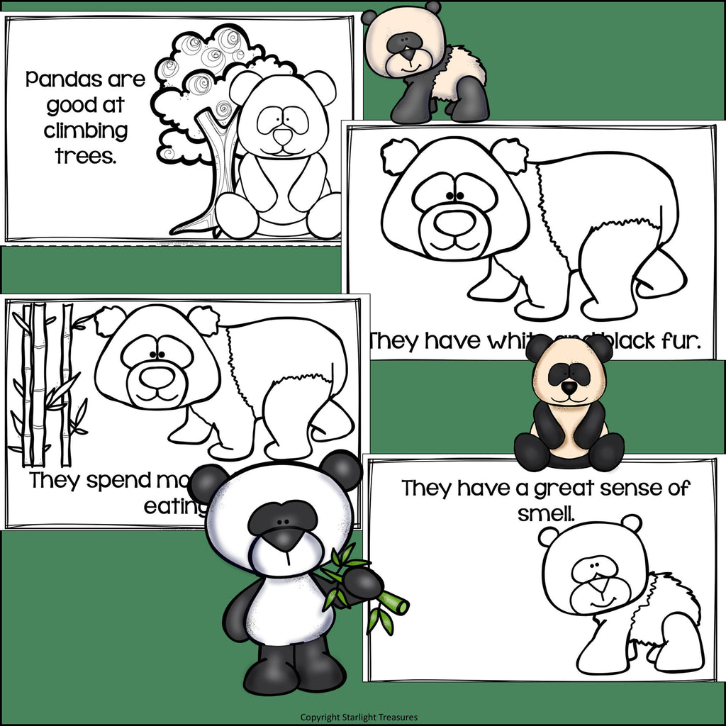 Panda Bears Mini Book for Early Readers