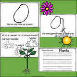 Plants Mini Book for Early Readers: Photosynthesis