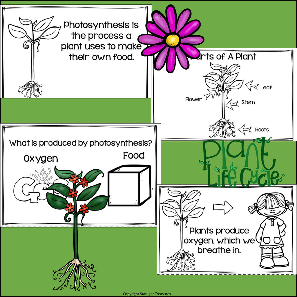 Plants Mini Book for Early Readers: Photosynthesis
