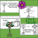 Plants Mini Book for Early Readers: Photosynthesis