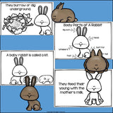 Rabbits Mini Book for Early Readers - Bunny Mini Book