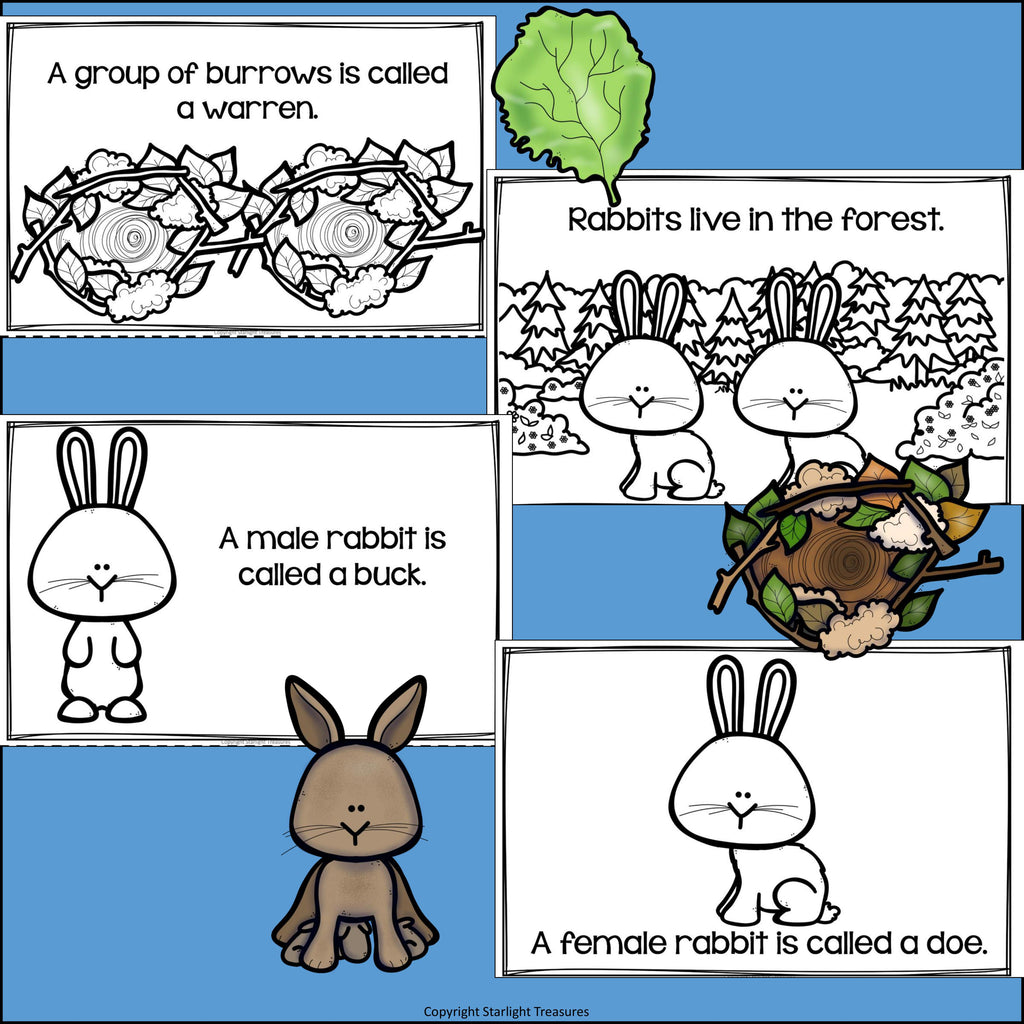 Rabbits Mini Book for Early Readers - Bunny Mini Book