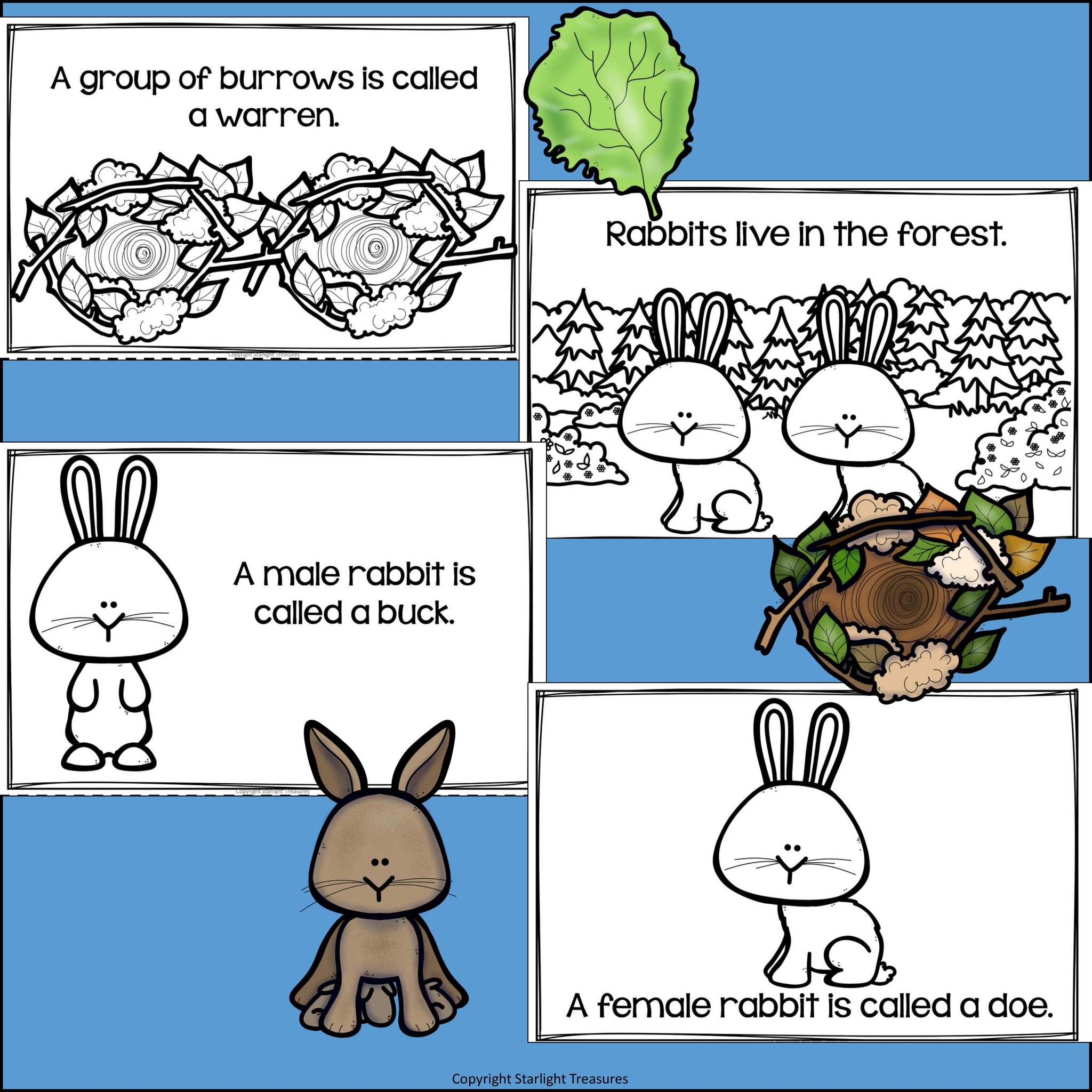 Rabbits Mini Book for Early Readers - Bunny Mini Book – Starlight ...