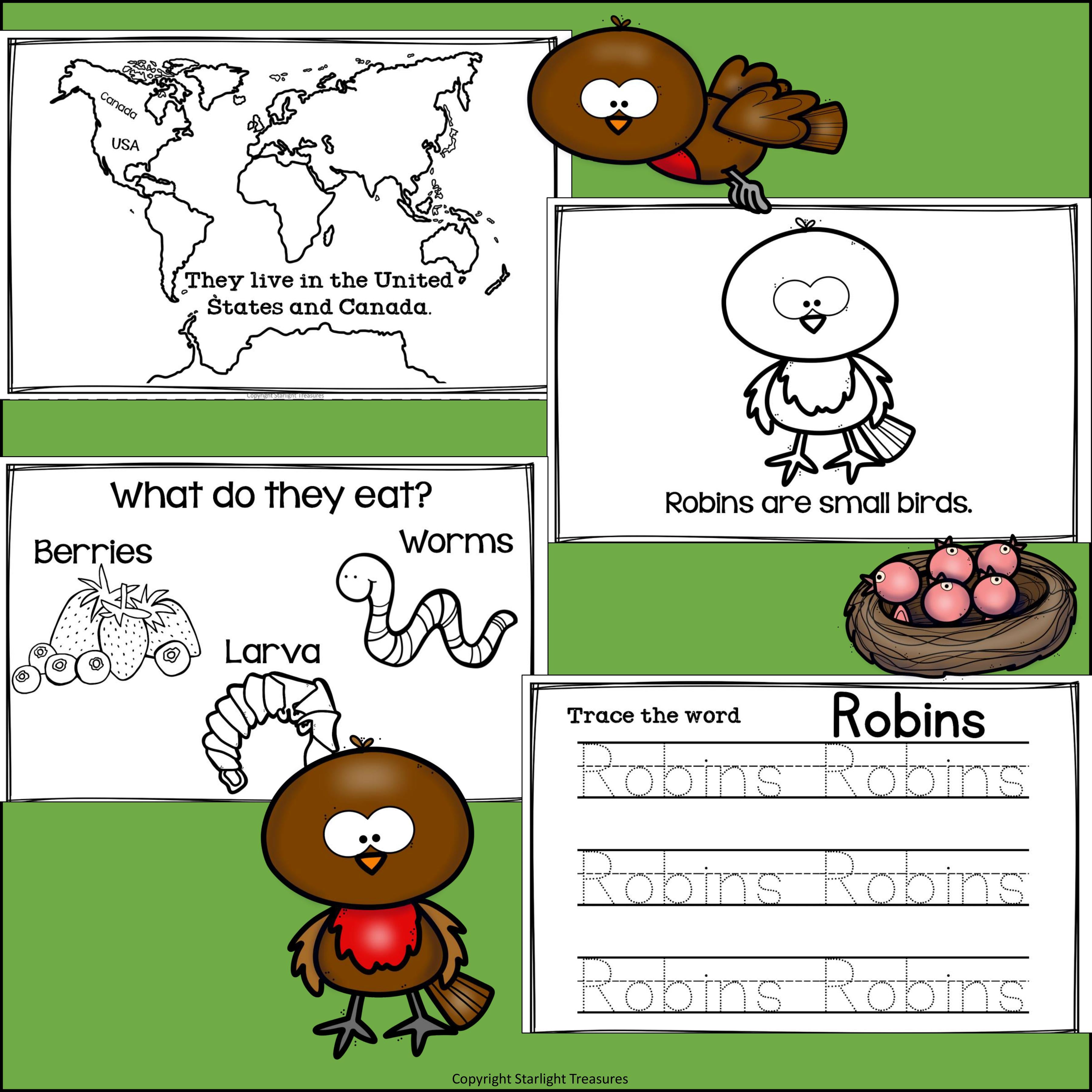 Robins Mini Book for Early Readers