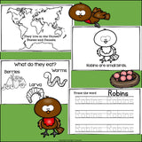 Robins Mini Book for Early Readers