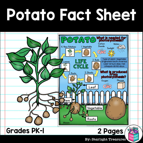 Potato Fact Sheet for Early Readers