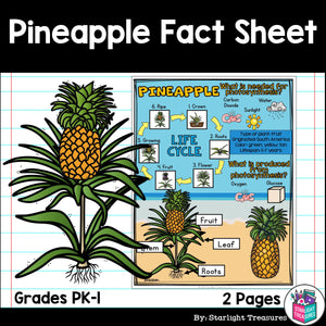 Pineapple Fact Sheet for Early Readers