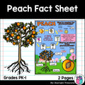 Peach Fact Sheet for Early Readers