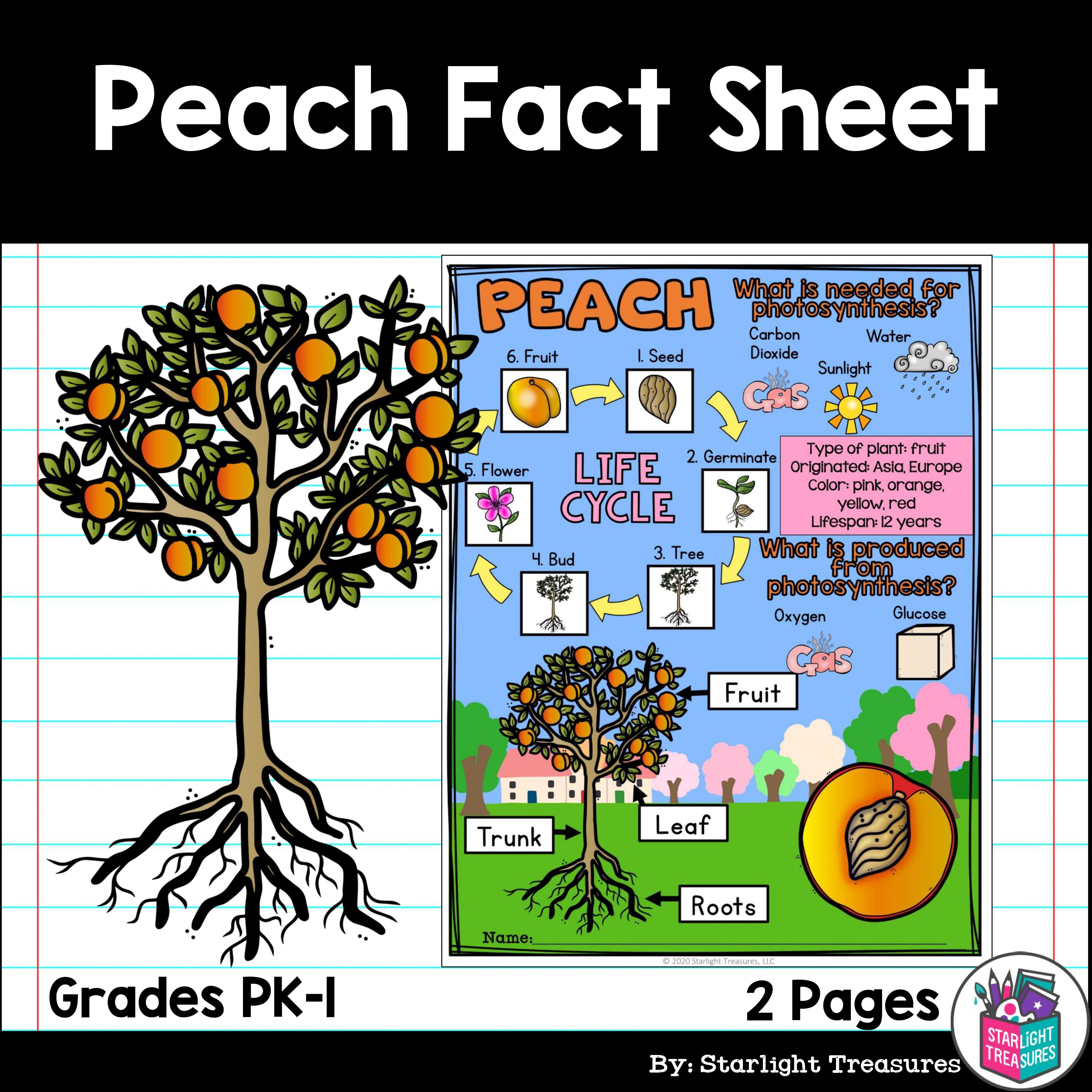 Peach Fact Sheet for Early Readers