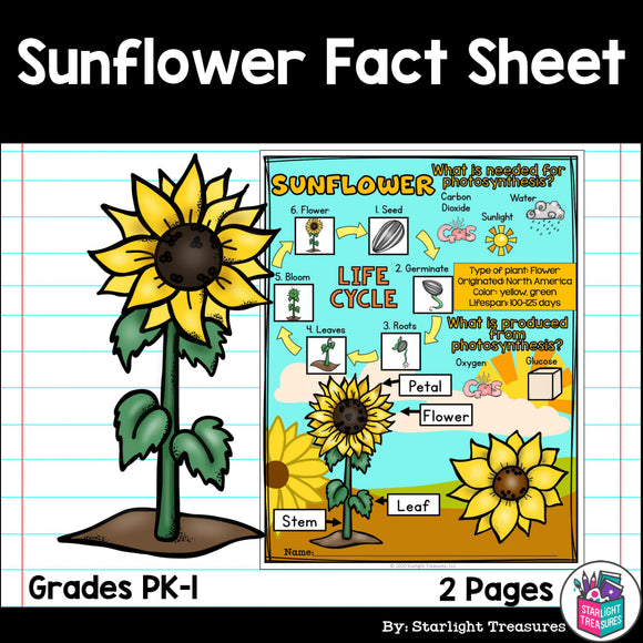 Sunflower Fact Sheet for Early Readers