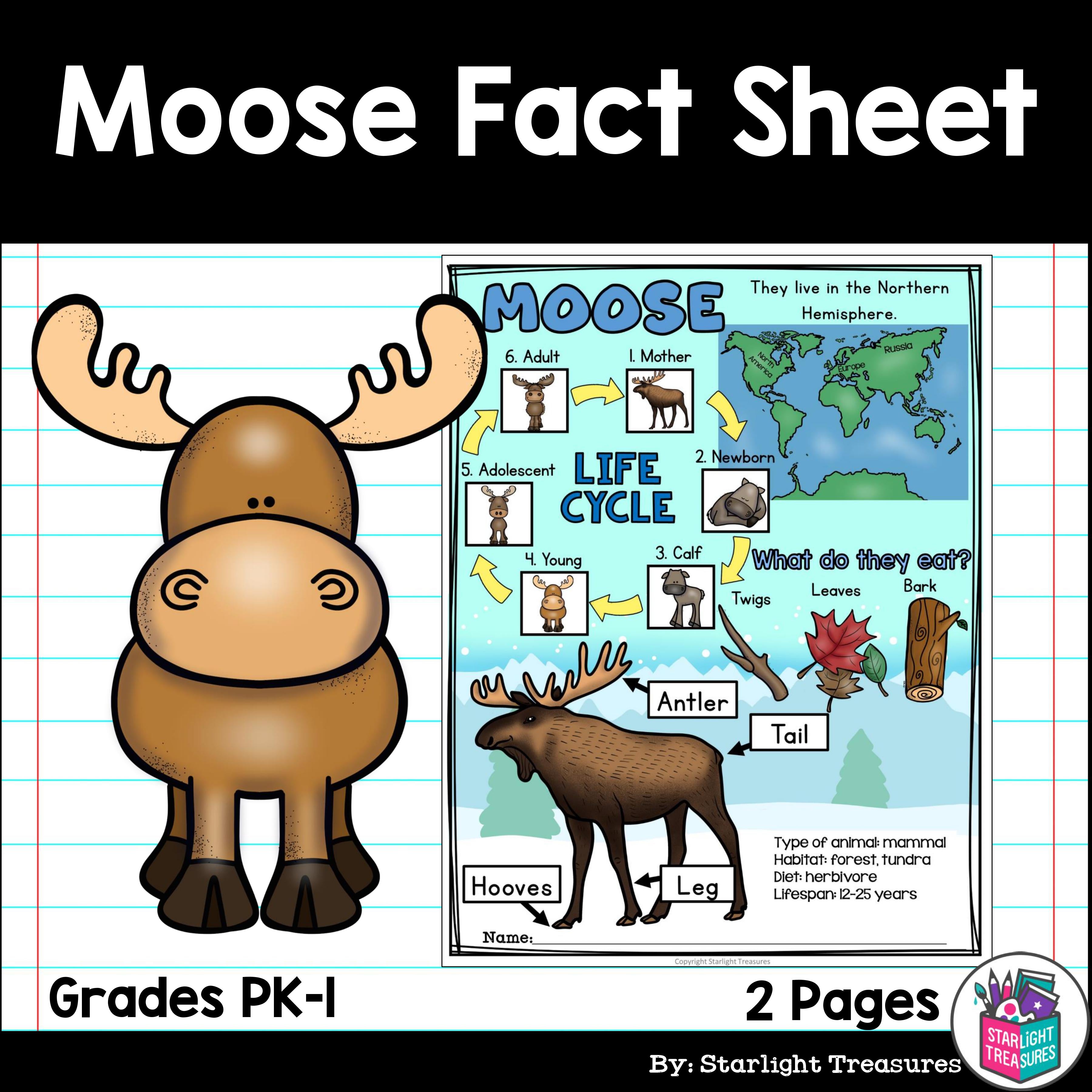 Moose Fact Sheet for Early Readers