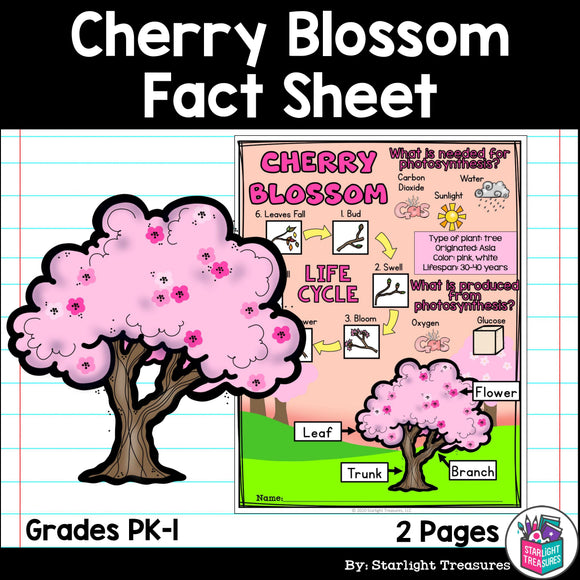 Cherry Blossom Fact Sheet for Early Readers