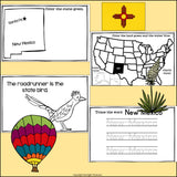 New Mexico Mini Book for Early Readers - A State Study