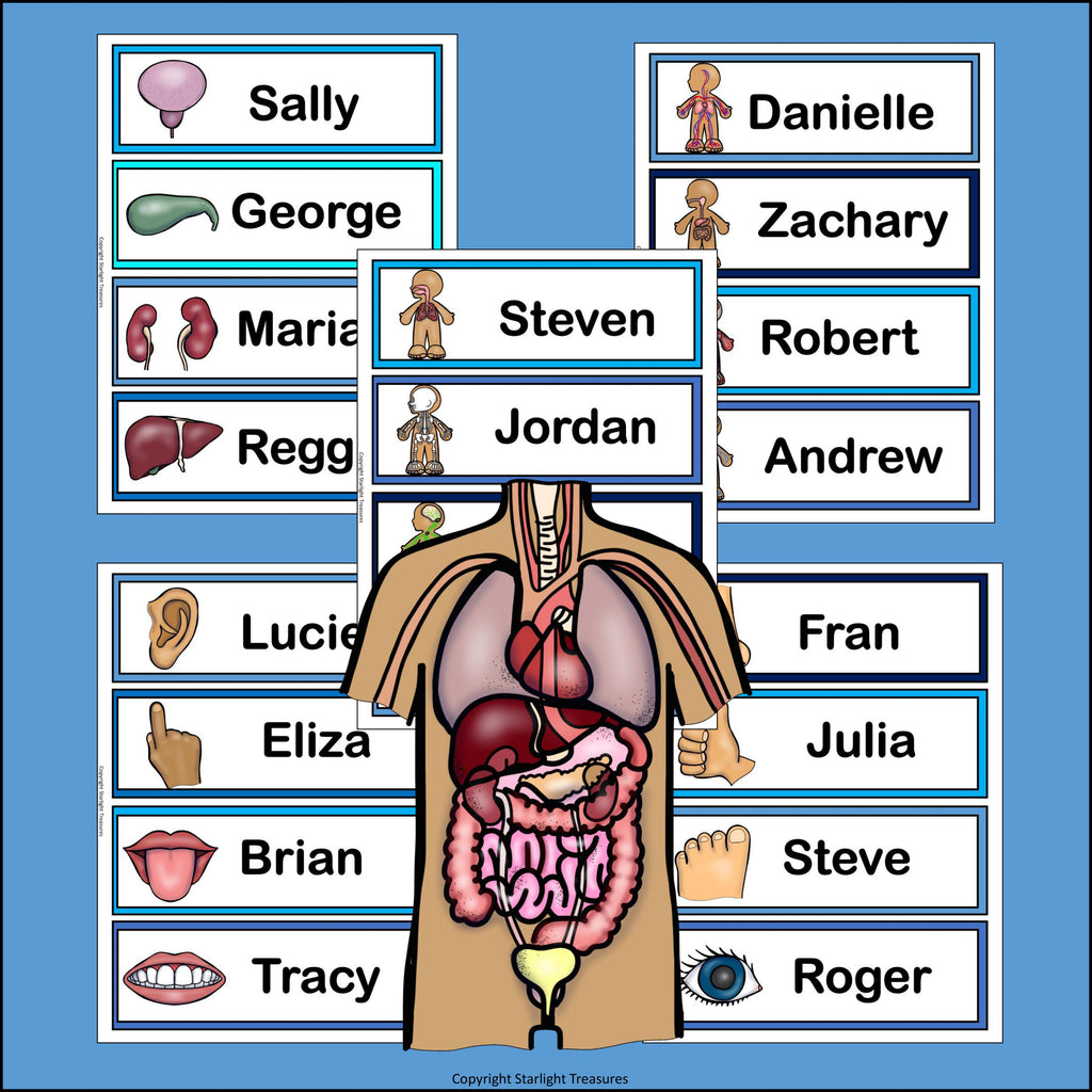 Human Body Name Tags - Editable