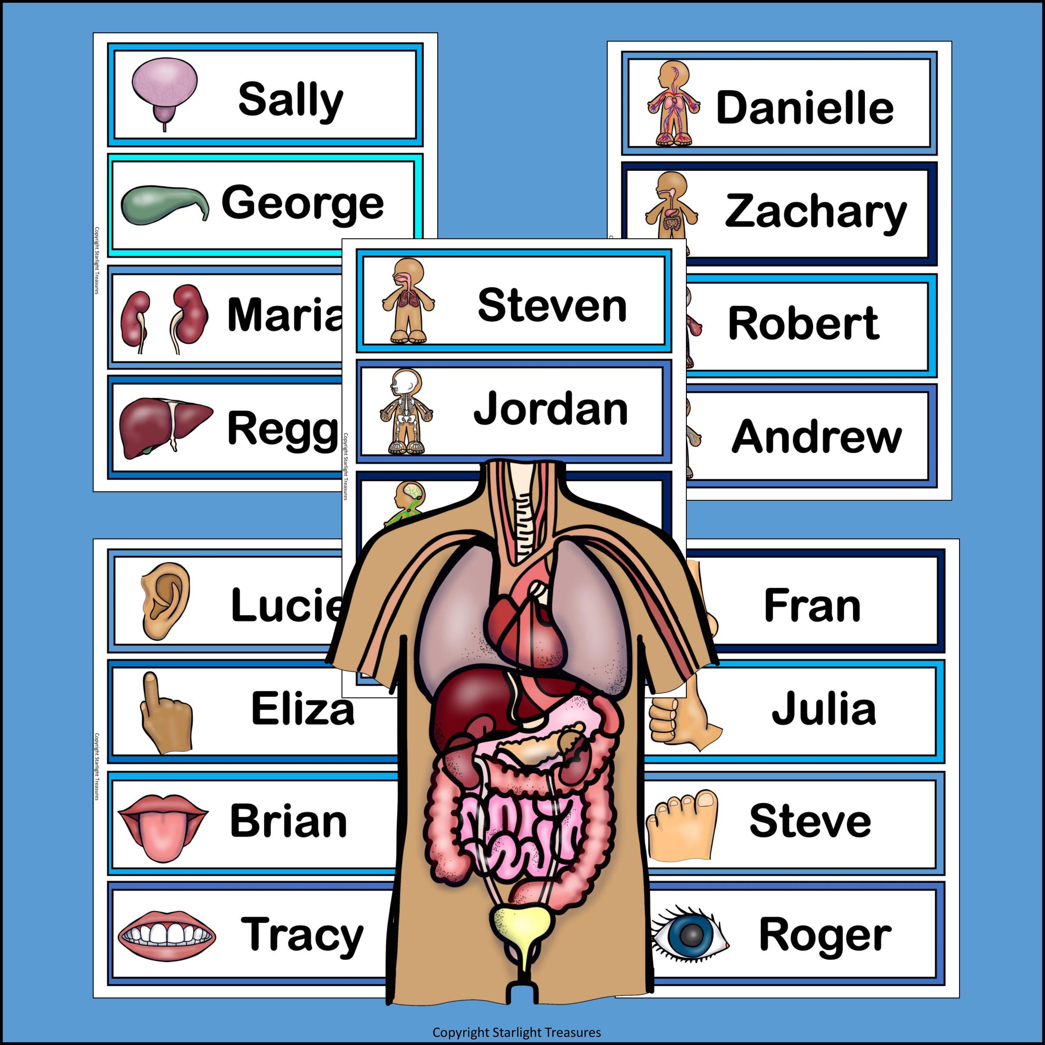 Human Body Name Tags - Editable