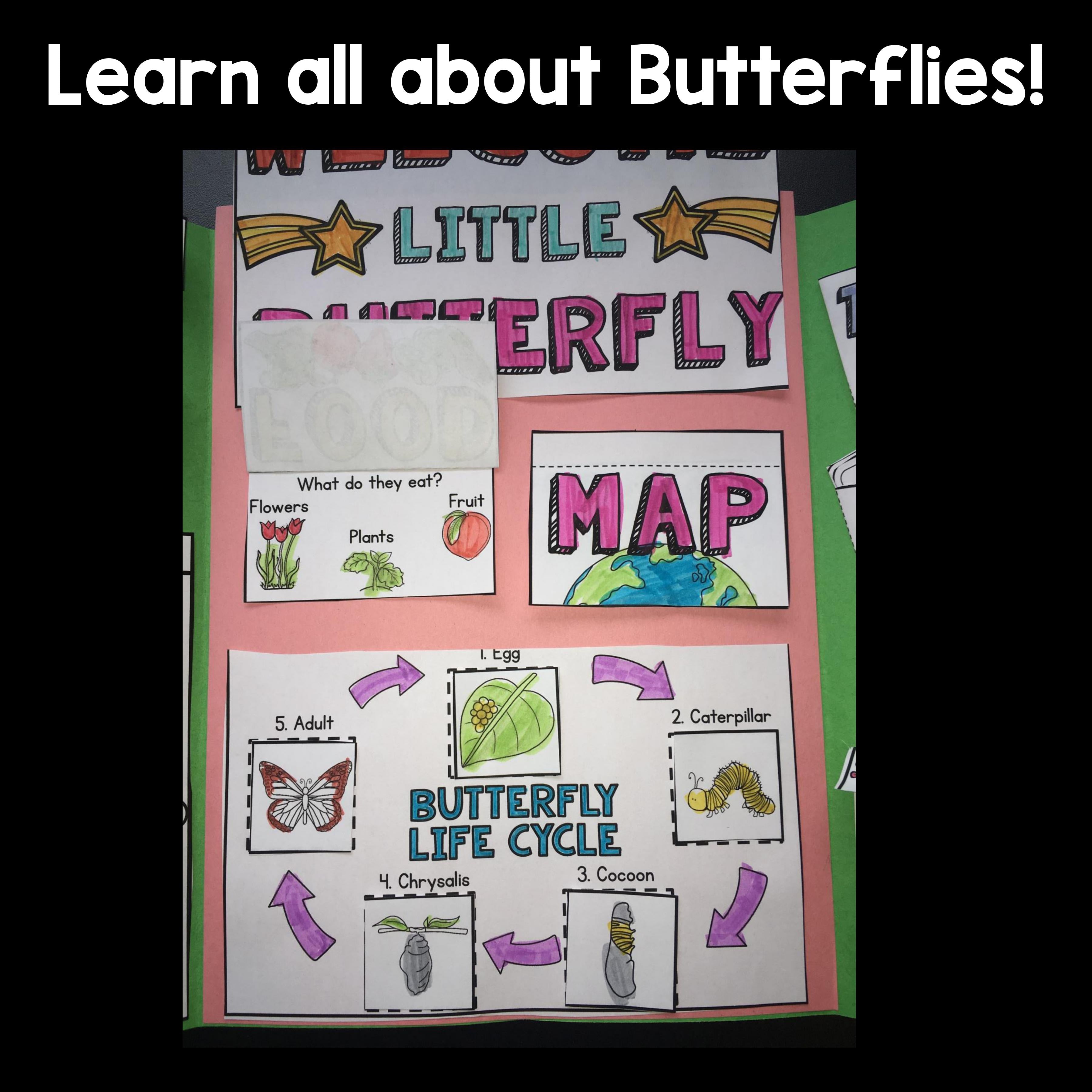 Butterflies Lapbook for Early Learners 