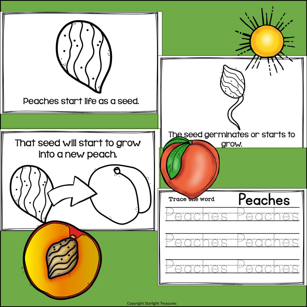 Peach Mini Book for Early Readers