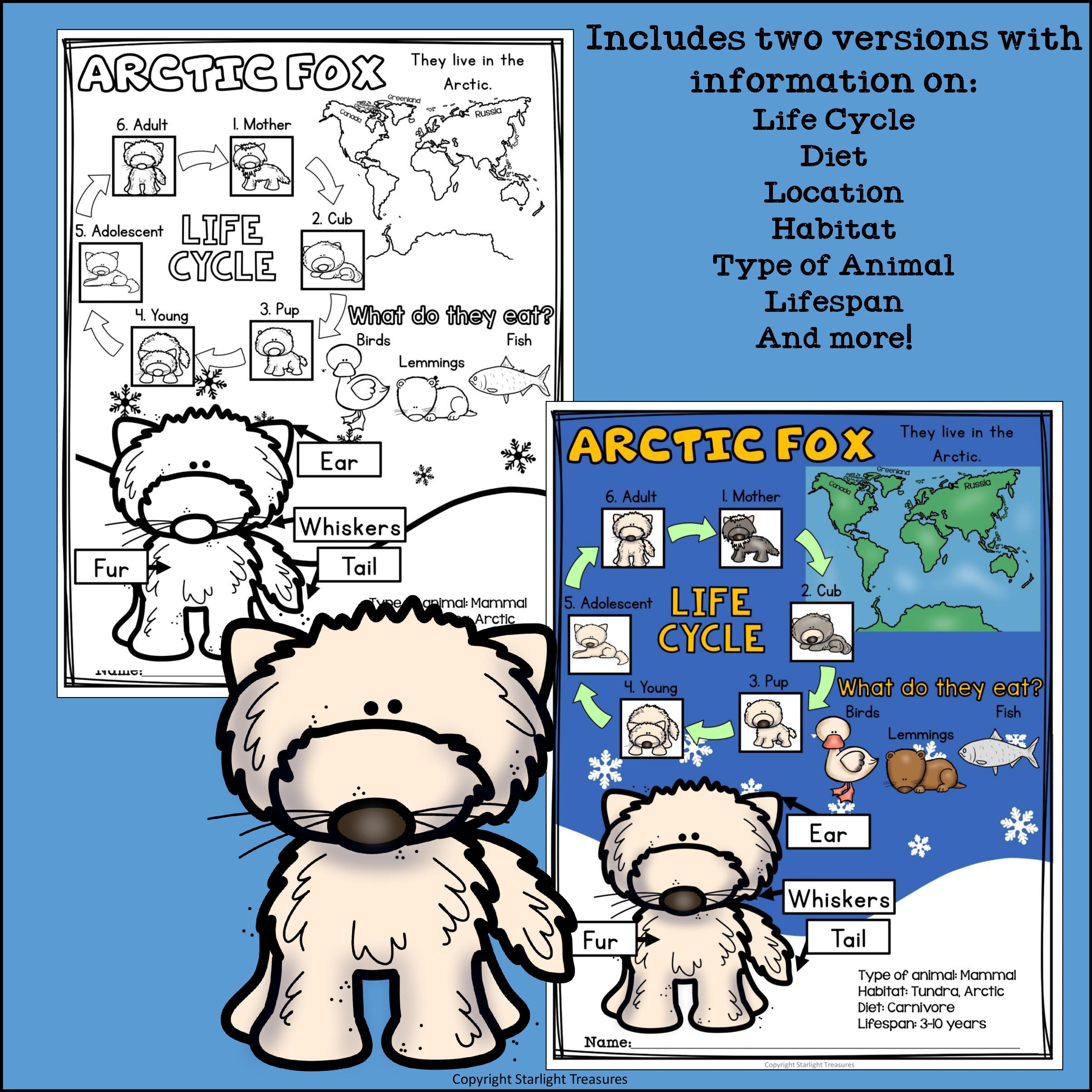 Arctic Fox Fact Sheet for Early Readers