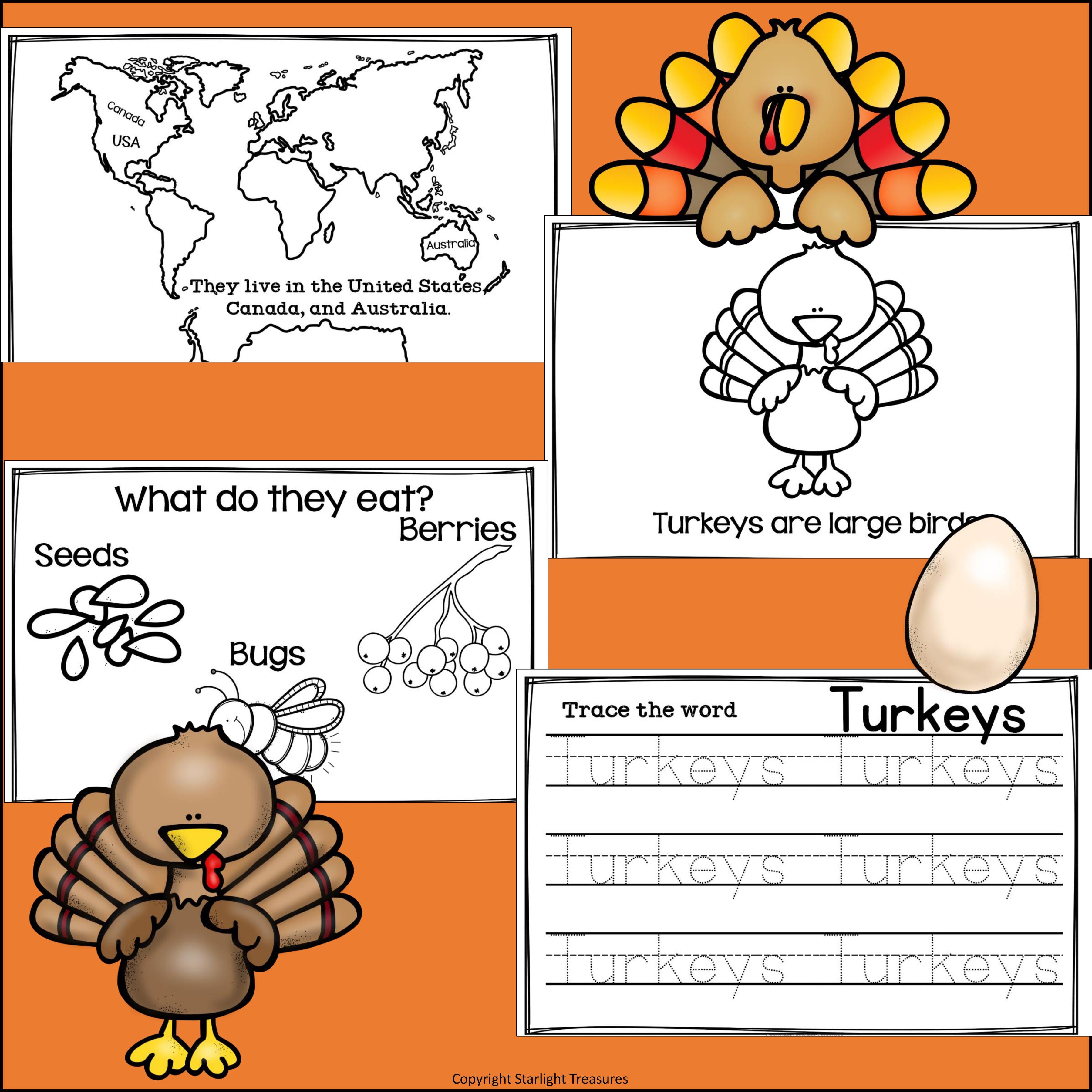 Turkeys Mini Book for Early Readers