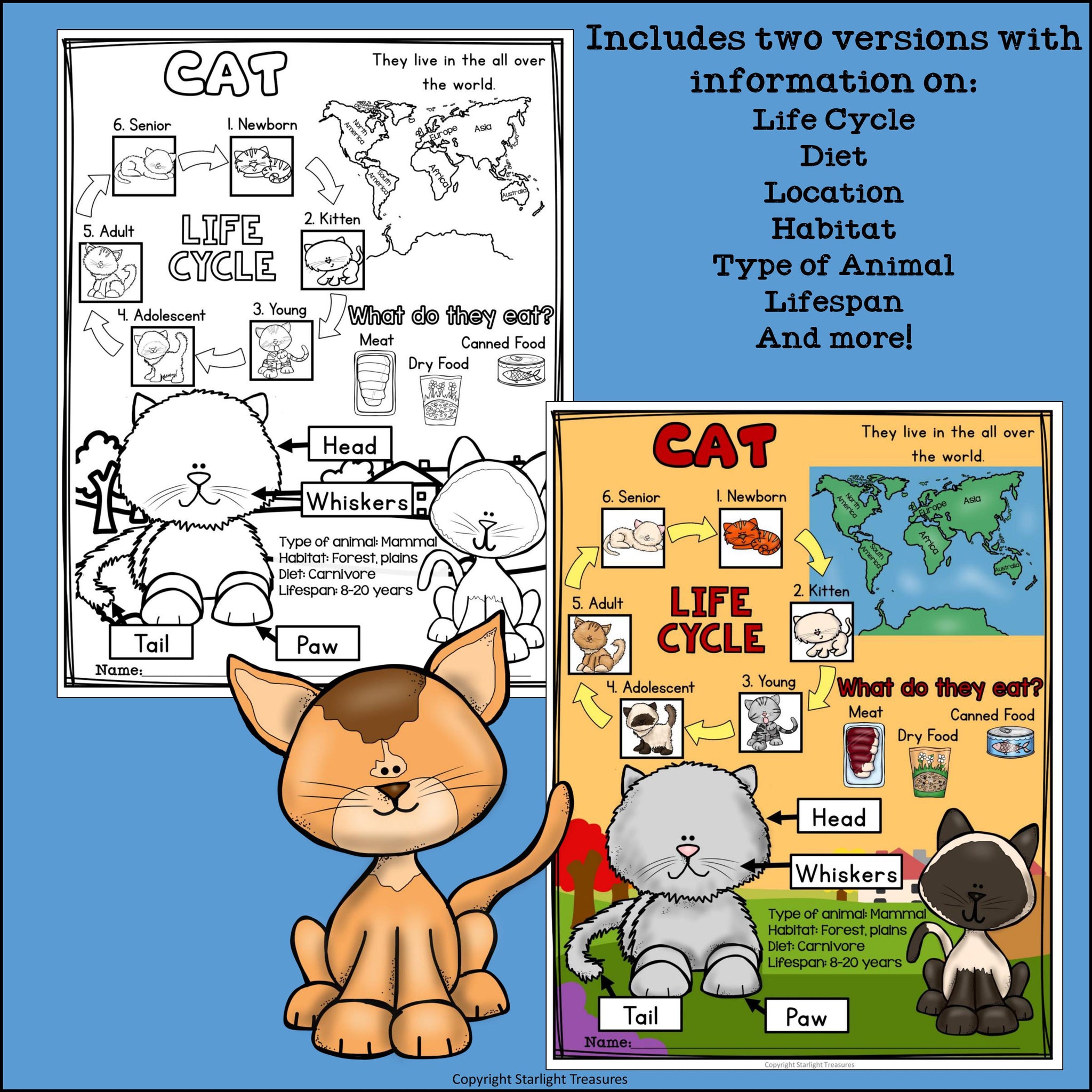 Cat Fact Sheet for Early Readers - Main Image