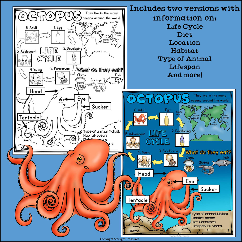 Octopus Fact Sheet for Early Readers