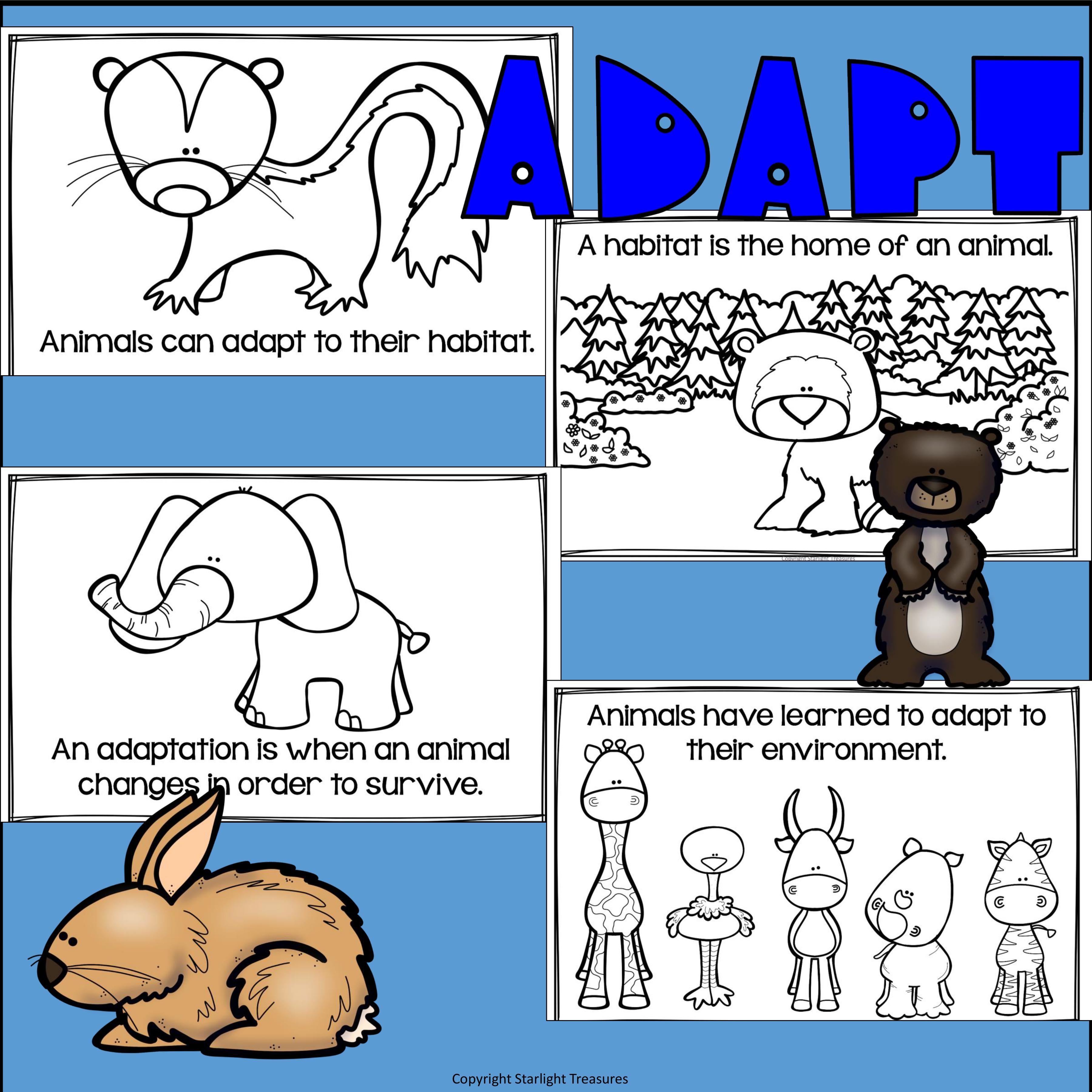 Animal Adaptations Mini Book for Early Readers