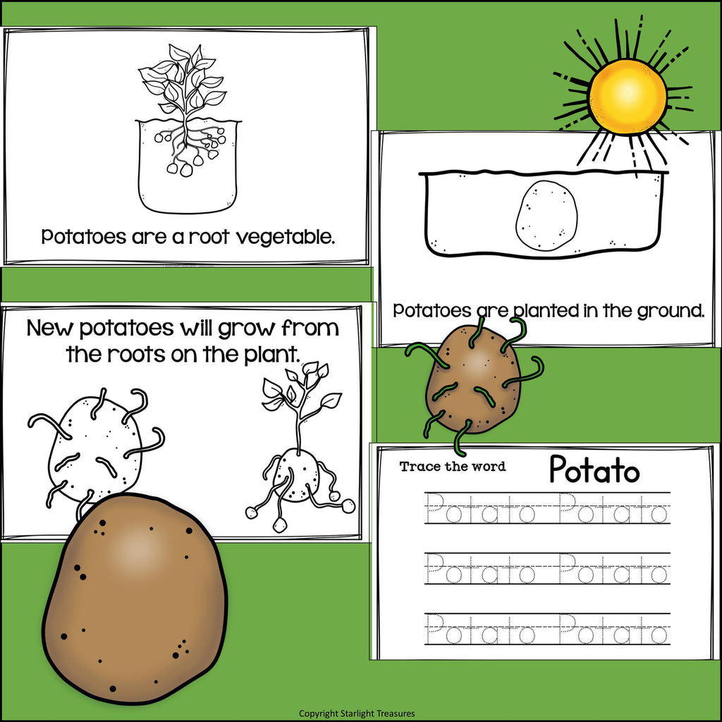 Potato Mini Book for Early Readers