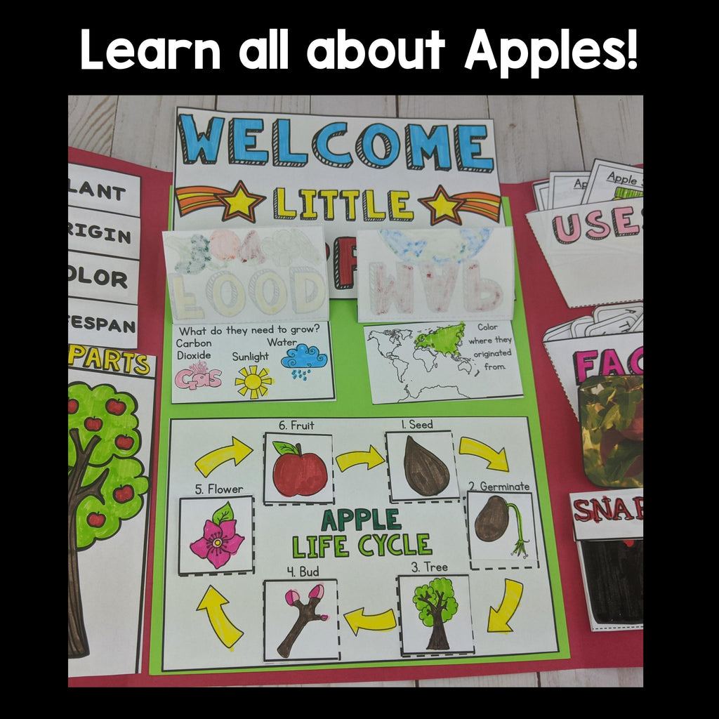 Apple Lapbook for Early Learners - Plant Study