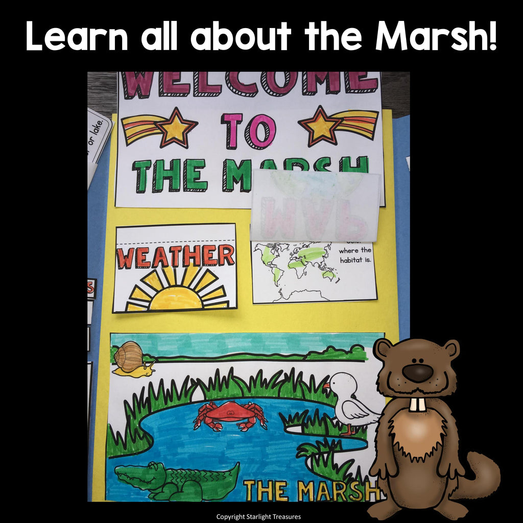 Marsh Lapbook for Early Learners - Animal Habitats