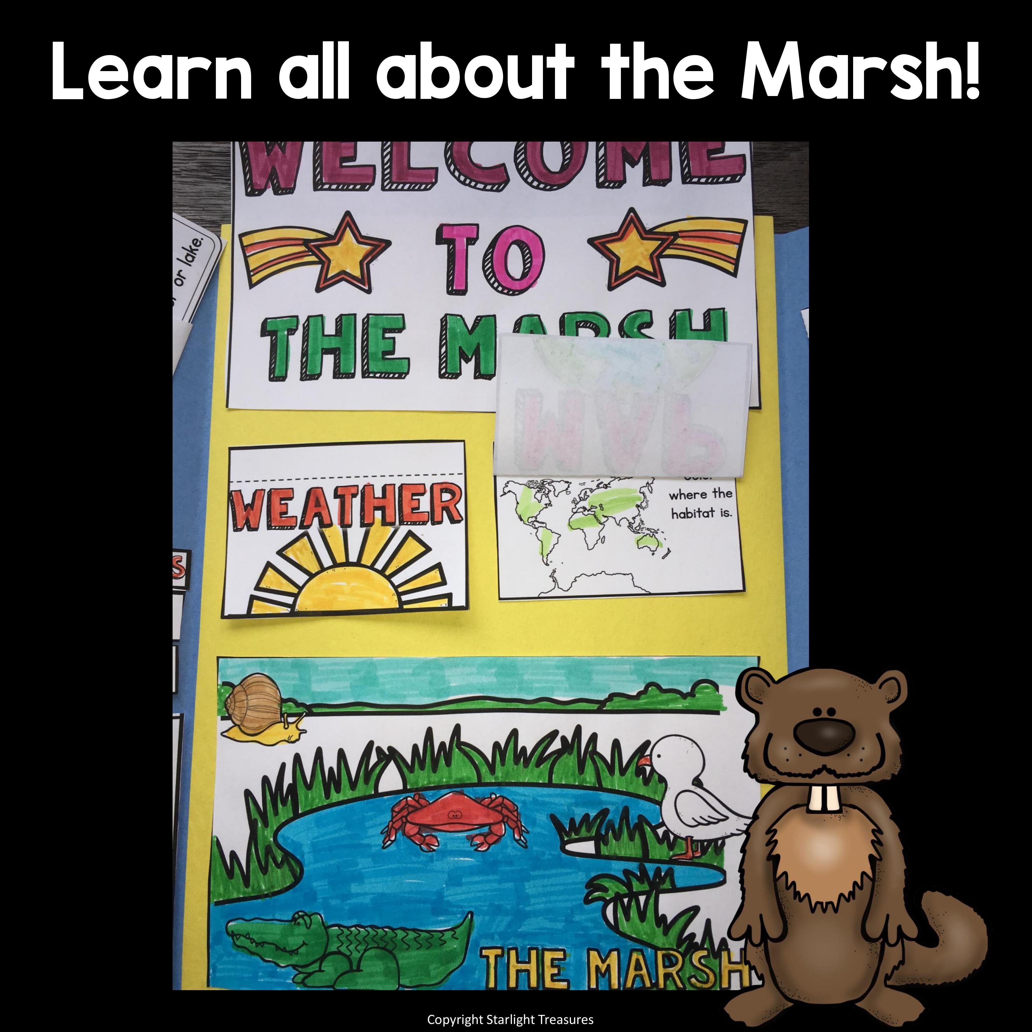Marsh Lapbook for Early Learners - Animal Habitats