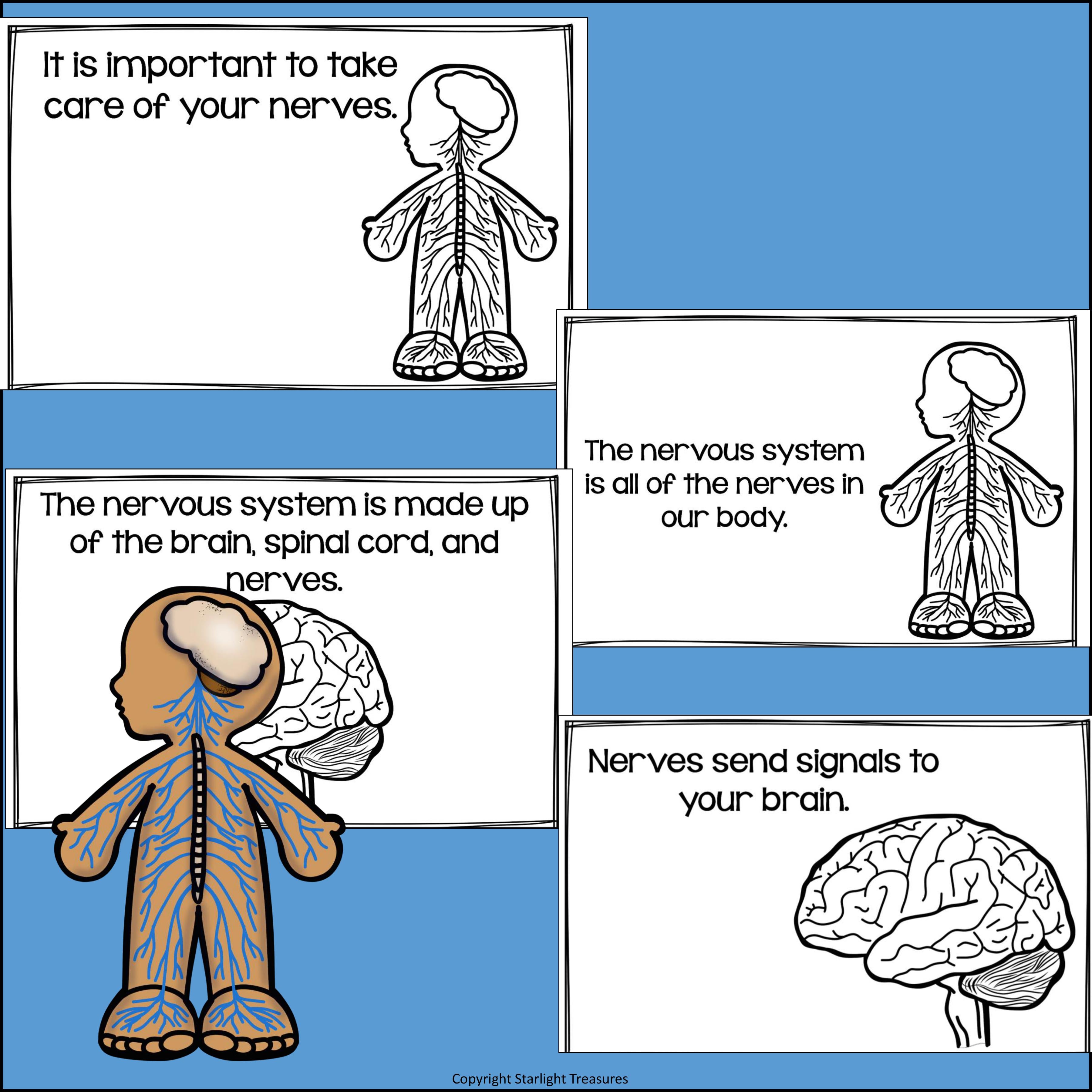 Human Body Systems: Nervous System Mini Book for Early Readers