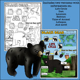 Black Bear Fact Sheet for Early Readers
