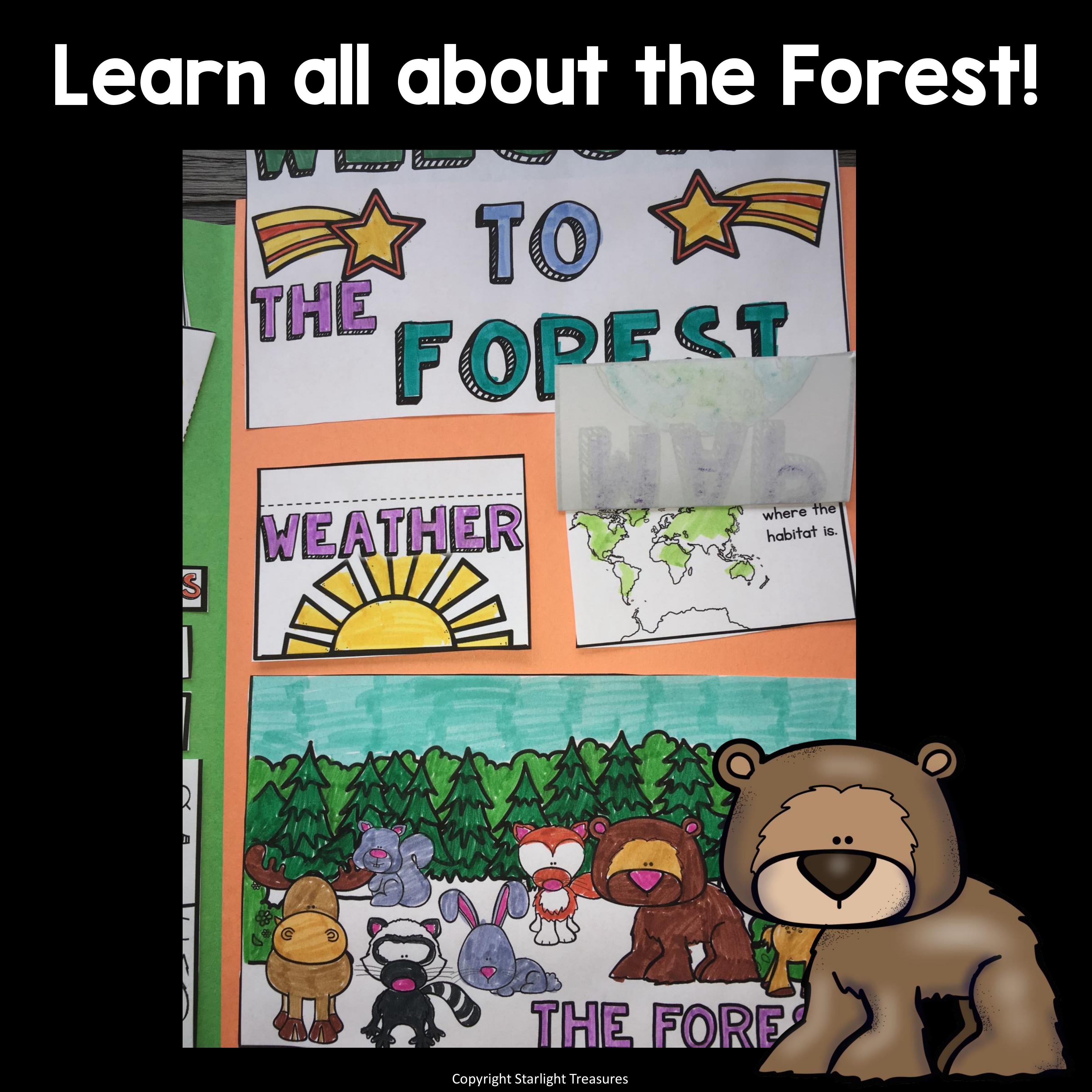 Forest Lapbook for Early Learners - Animal Habitats